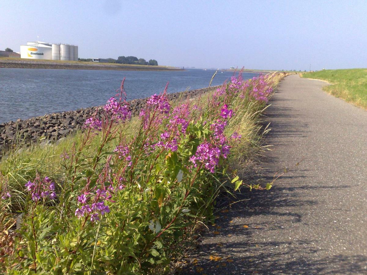 Middensluis Vakantiehuis Вемельдінге Екстер'єр фото
